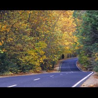 Country road, autumn, California :: 15899RDSyosemitejpg