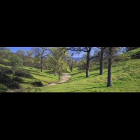 California Oaks panorama, Valencia hills, California, USA :: 18178wCAVALvalenciahillsidecajpg