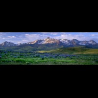 Telluride, Wilson Range panorama, wildflowers, San Juan Mts., Colorado, USA :: 19464weCOSJMwilsonrangelupinesjpg
