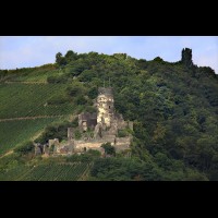 Furstenberg Castle, Rheindiebach, Germany :: CSLfurstenbergruinde64391jpg