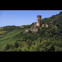 Furstenberg Castle, Rheindiebach, Germany :: CSLfurstenbergruinde64395jpg
