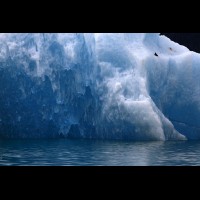 LeConte Glacier Icebergs, Alaska :: ICEicebergsak70104jpg