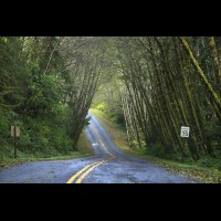 Country road, Washington, USA :: RDShohrainforestwa60280jpg