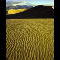 Death Valley National Park, Mesquite Flats Dunes  :: 1372CADVLsunrisemesquiteflatdunesjpg