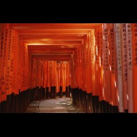 Fushimi Inari-Taisha Shrine, Vermillion Gates, Kyoto, Japan :: 13827-24eJAKYOfushimiinarijpg