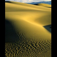 Death Valley National Park, Mesquite Flats Dunes  :: 1383CADVLmesquiteflatsdunesjpg