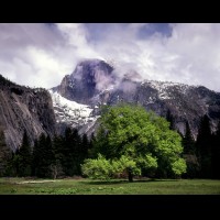 Half Dome, Yosemite National Park, CA, USA :: 15527CAYOShalfdomesnowjpg