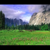 Yosemite National Park, Valley floor, CA, USA :: 15643wCAYOSvalleyfloorCRPjpg