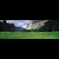 Yosemite National Park, Wildflowers, Valley floor panorama :: 15643wCAYOSvalleyfloorjpg
