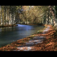 Canal du Midi in autumn, France :: 18457FRGENcanaldumidifrjpg