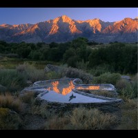 BIRDPONDjpg :: Life sized construction on location of bird shaped pond, Turning Leaf Wines ad campaign