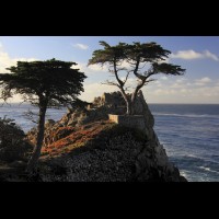  Monterey Peninsula, The Lone Cypress, 17 mile Drive, Pebble Beach, CA, USA :: CACSTlonecypress46776jpg