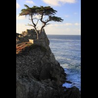 Monterey Peninsula, The Lone Cypress, CA :: CACSTlonecypress46783jpg