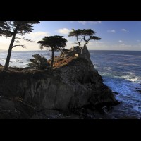 Monterey Peninsula, The Lone Cypress, 17 mile Drive, Pebble Beach, CA, USA :: CACSTlonecypress46784jpg