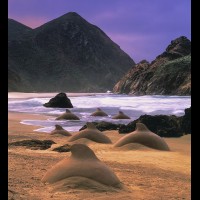DOLPHINjpg :: Fabricated life sized sand dolphin shot on location, Big Sur, CA, USA