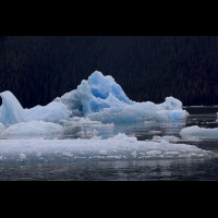 LeConte Glacier Icebergs, Alaska :: ICEicebergsak69859jpg