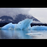 LeConte Glacier Icebergs, Alaska :: ICEicebergsak69884jpg