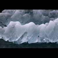 LeConte Glacier Icebergs, Alaska :: ICEicebergsak70082jpg