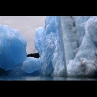 LeConte Glacier Icebergs, Alaska :: ICEicebergsak70099jpg