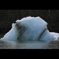 LeConte Glacier Icebergs, Alaska :: ICEicebergsak70113jpg