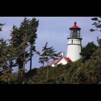  Heceta Head Lighthouse, Oregon :: LTHhecetaheador64846jpg