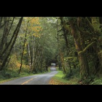 Country road, Washington, USA :: RDShohrainforestwa60180jpg