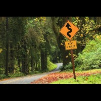 Country road, Washington, USA :: RDShohrainforestwa60186jpg
