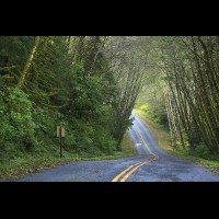 Country road, Washington, USA :: RDShohrainforestwa60282jpg
