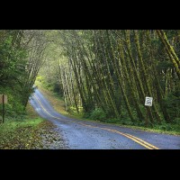 Country road, Washington, USA :: RDShohrainforestwa60283jpg