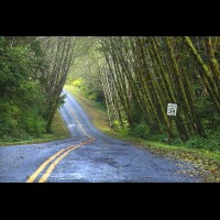 Country road, Washington, USA :: RDShohrainforestwa60288jpg