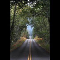 Country road, Washington, USA :: RDSsanjuanisland50577jpg
