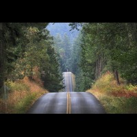 Country road, Washington, USA :: RDSsanjuanisland50588jpg