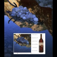 STONECLUSTERadjpg :: Fabricated stone grape cluster shot on location, Santa Barbara, CA, USA