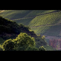 Rhine Valley Wine Region, Germany :: VINbacharachde64245jpg