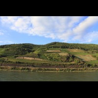 Rhine Valley Wine Region, Germany :: VINrhinerivervalleyde64267jpg