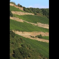 Rhine Valley Wine Region, Germany :: VINrhinerivervalleyde64272jpg