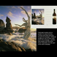 driftwooodadjpg :: Fabricated driftwood sculptures shot on location Pt. Lobos, CA, USA